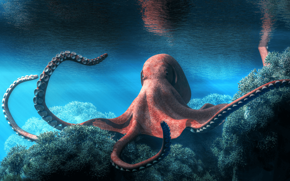 octopus totem