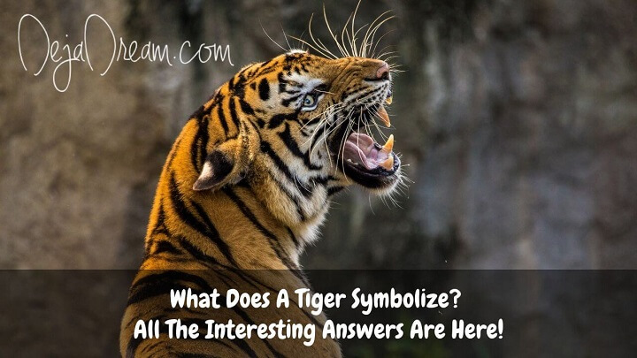 what does a tiger symbolize