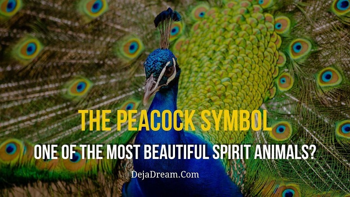 peacock symbol