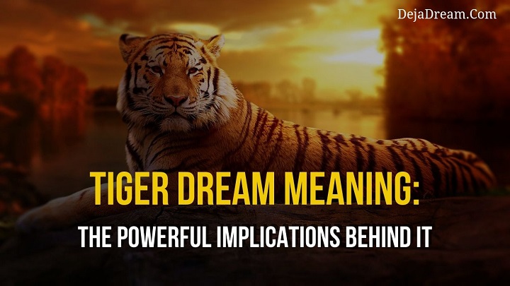 tiger dream meaning
