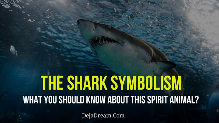 shark symbolism