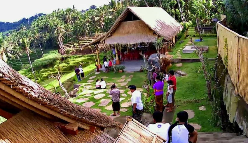 Desa Sidan Gianyar Bali Gaet Wisatawan Lewat Sawah Organik dan Ecohill