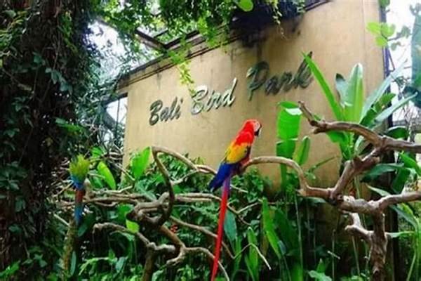 Bali Bird Park Gianyar Ajari Konservasi Burung Langka Dan Edukasi Anak