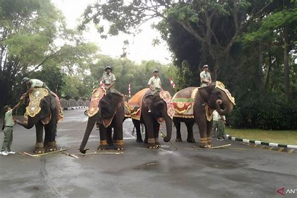 Gianyar Tampil Gaya Di Hut Ri: Gajah Jadi Bintang Upacara, Warga Terharu