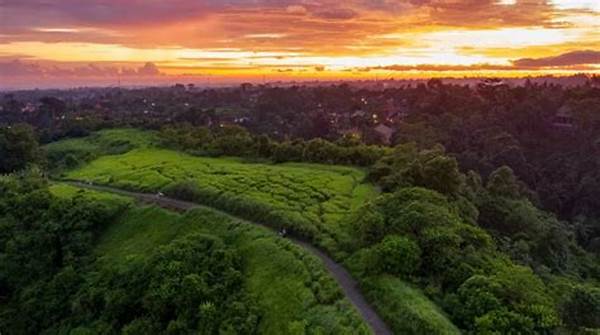 Pencinta Selfie Serbu Campuhan Hill Saat Golden Hour Gianyar 2025