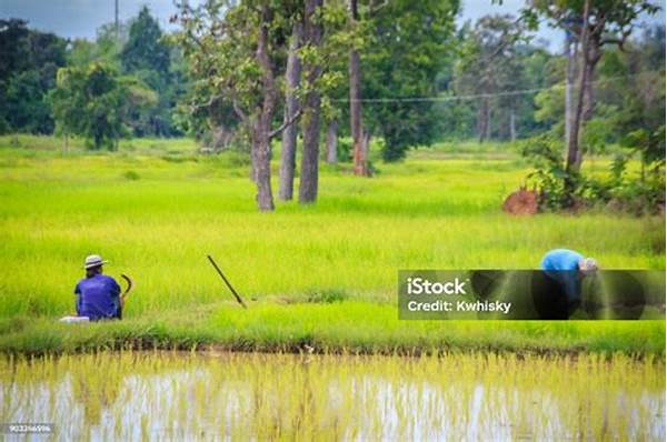 Gaya Hidup Bertani! Petani Di Gianyar Waspada Setelah Emas 44 Gram Raib Digondol Maling!