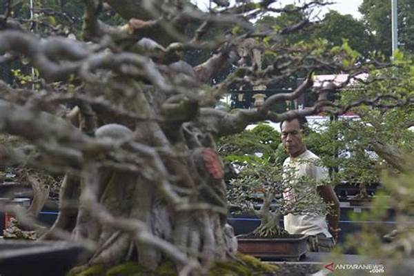 Peluang Baru! Gianyar Jadi Destinasi Kontes Bonsai Internasional Di Carangsari!