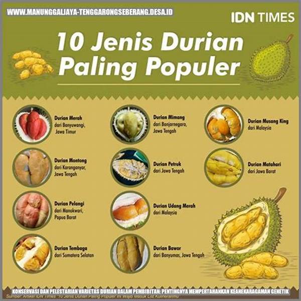 [video Konservasi] Komang Doni Bagi Durian Gratis, Misi Bantu Petani Lokal Gianyar!