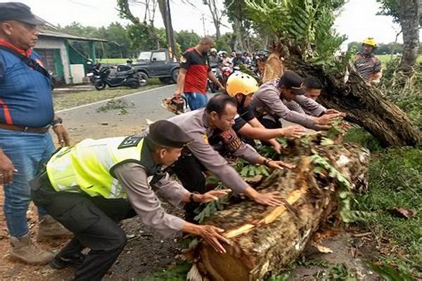 [video Kejadian] Pohon Santen 10 Meter Tumbang Di Gianyar, Warga Klaten Tewas Tertimpa, Kronologi Tragis!